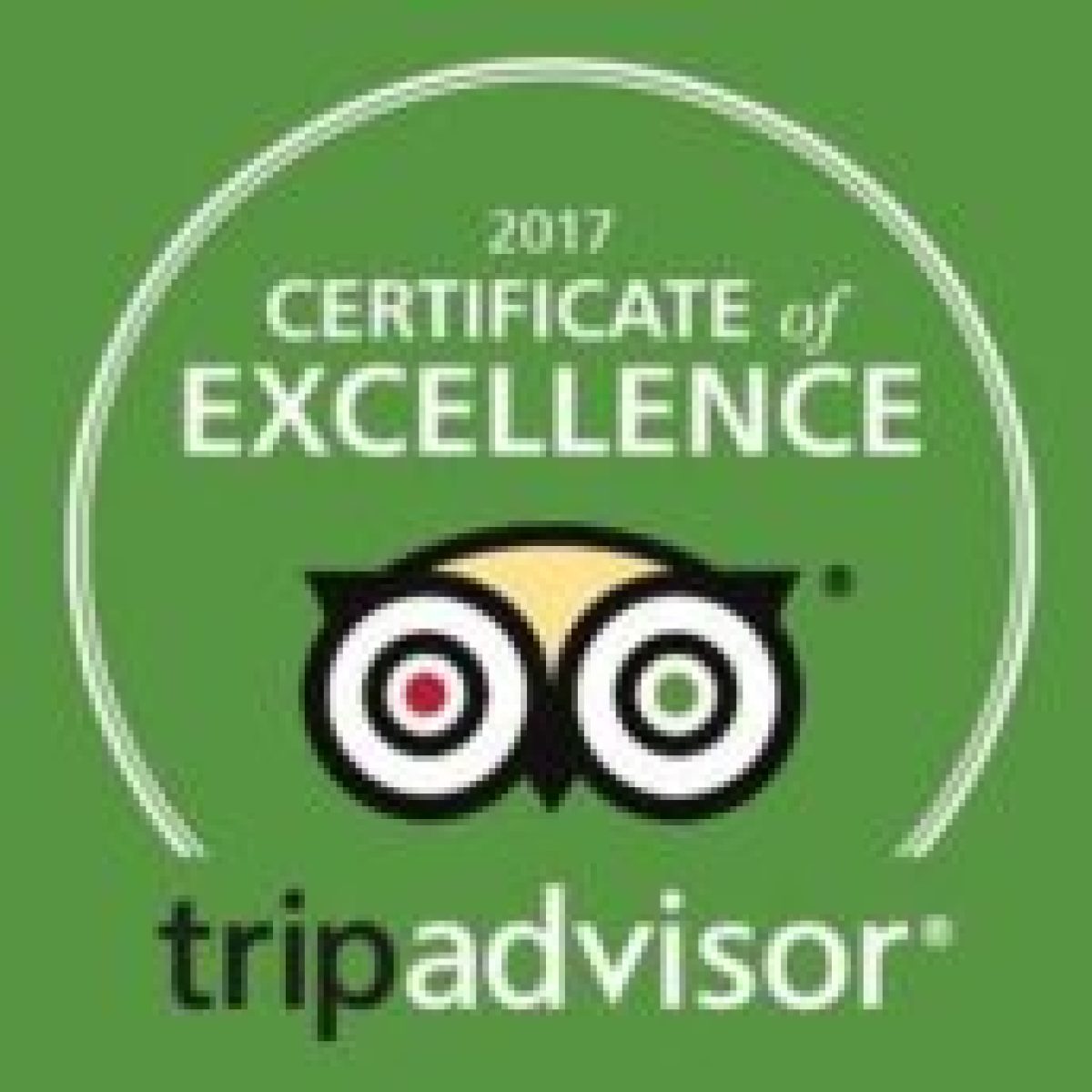 2017 TripAdvisor Certificate of Excellence logo on a green background.
