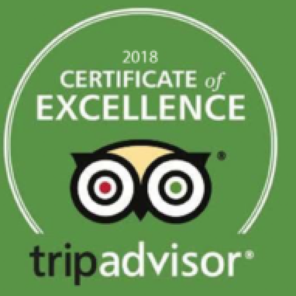 Green background with 2018 Certificate of Excellence by TripAdvisor, owl logo centered.