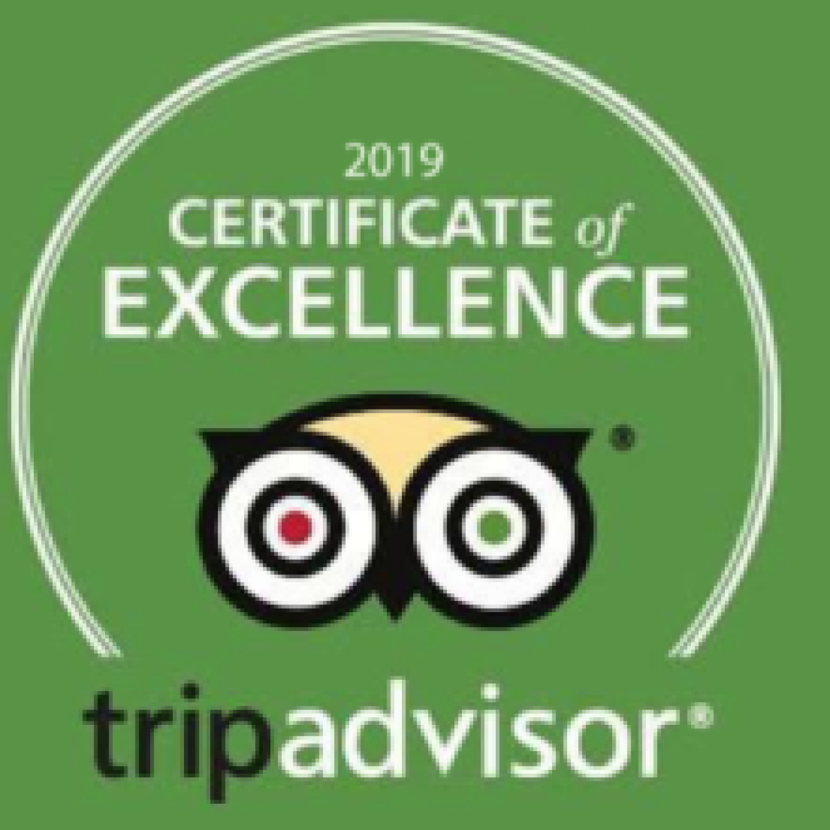 Tripadvisor 2019 Certificate of Excellence on green background.