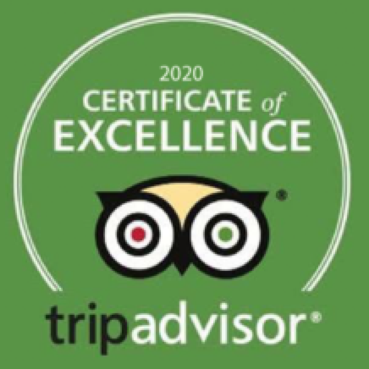 Tripadvisor 2020 Certificate of Excellence logo on green background.