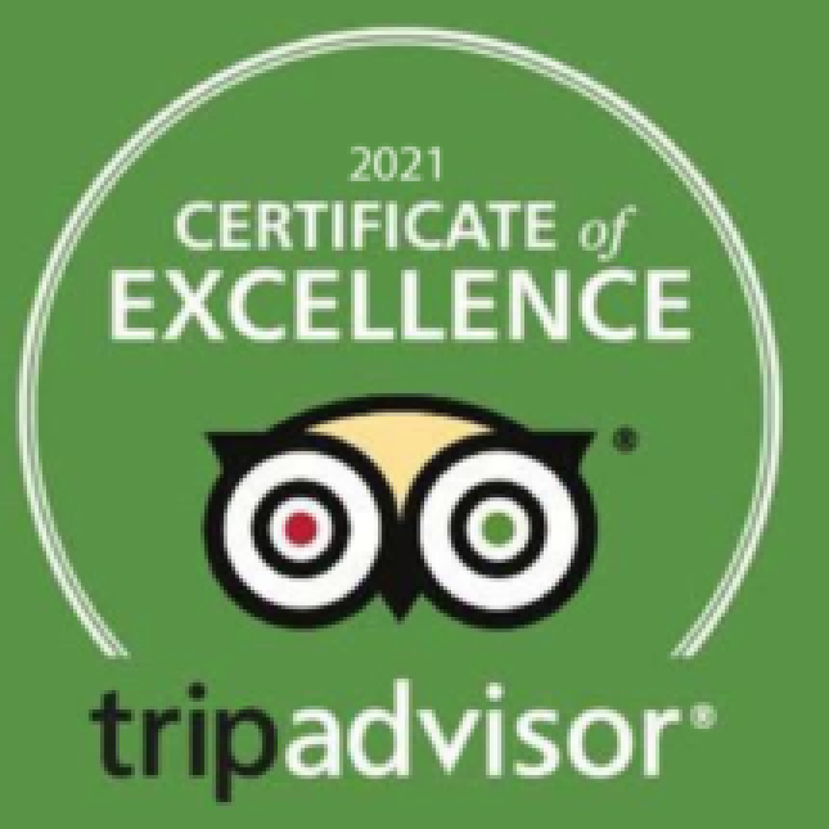 Tripadvisor 2021 Certificate of Excellence logo on a green background.