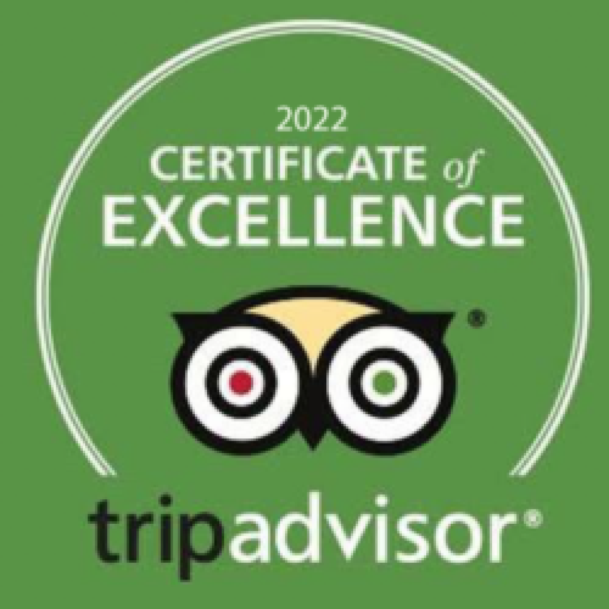 TripAdvisor 2022 Certificate of Excellence badge on a green background.
