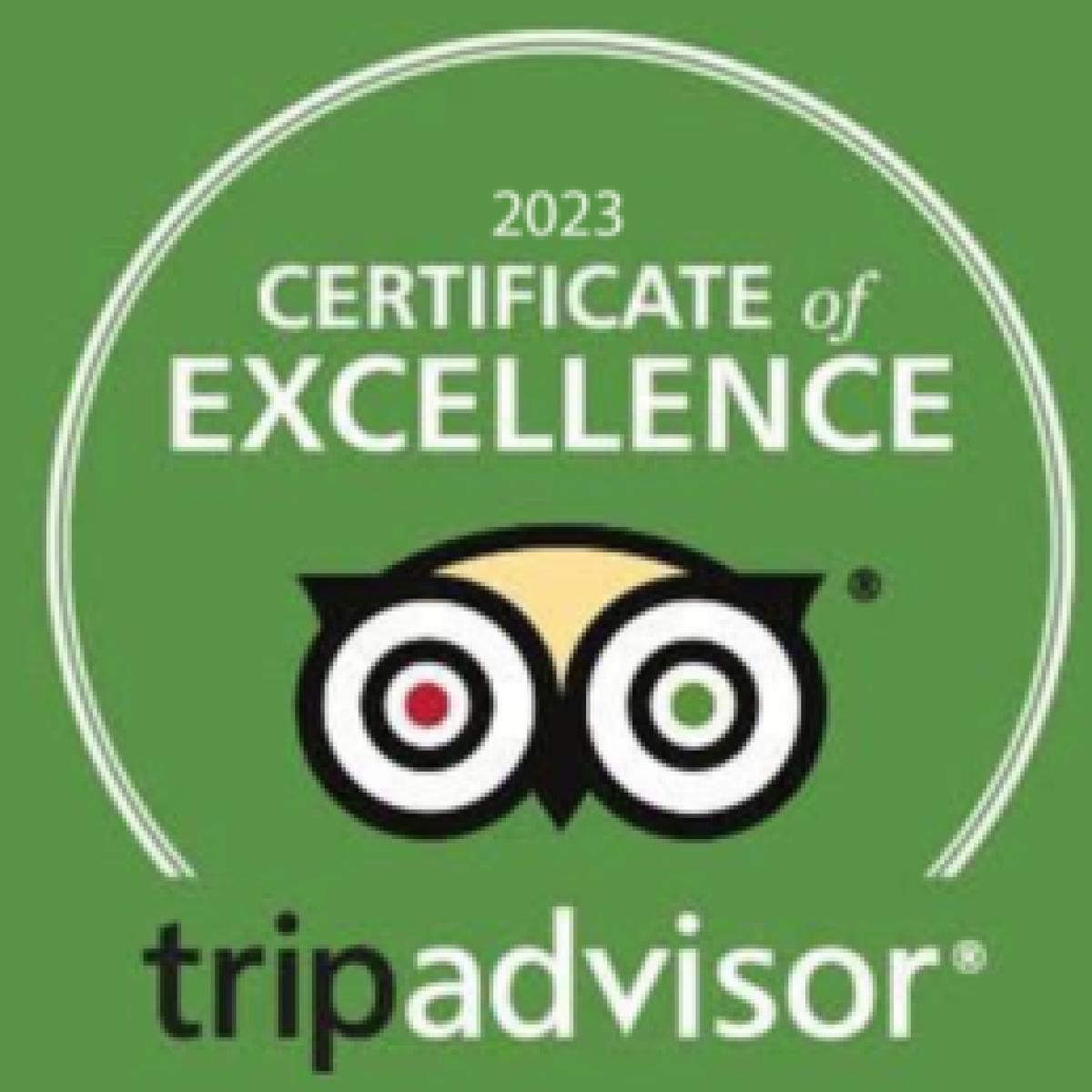Green circle logo with owl eyes, reads '2023 Certificate of Excellence, TripAdvisor'.