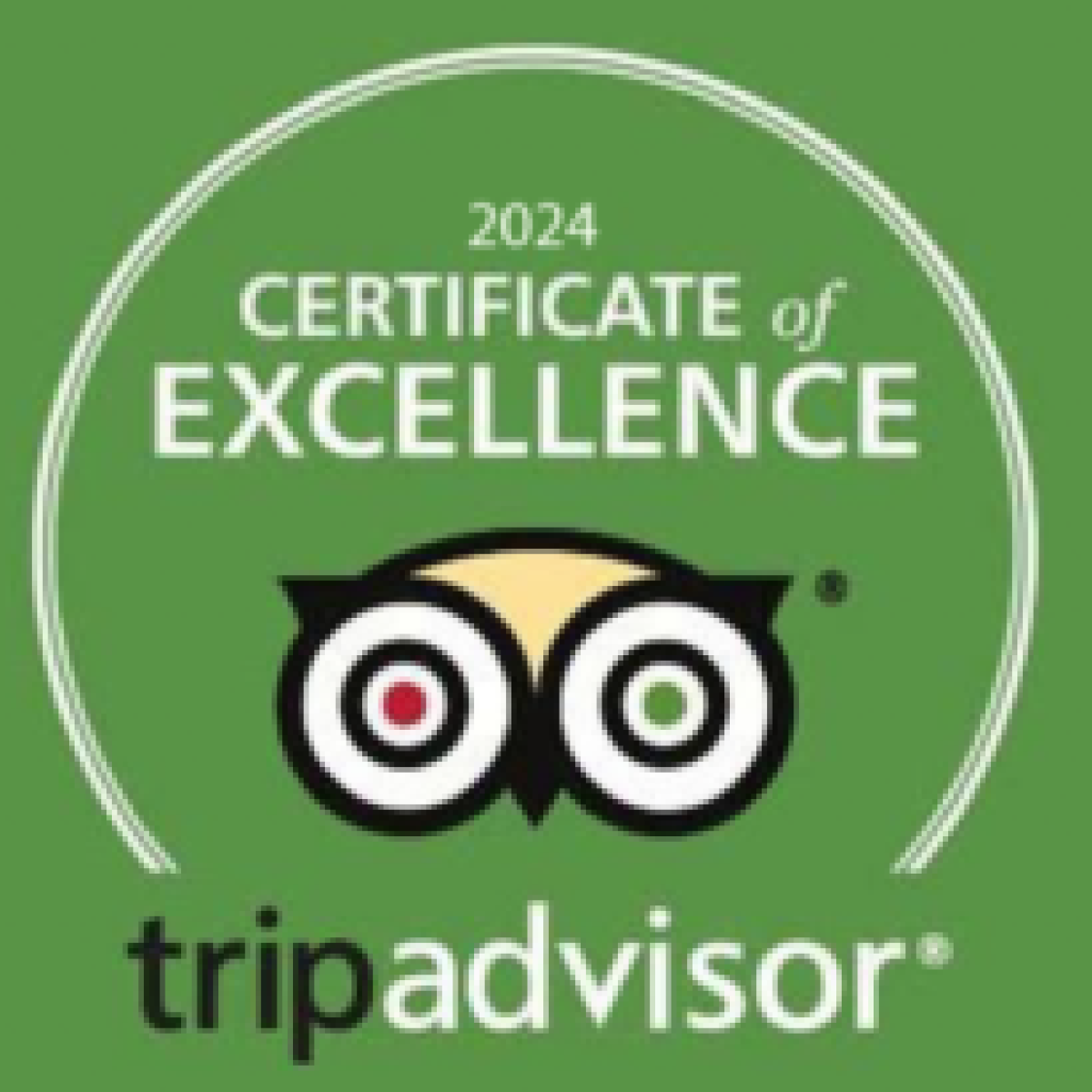 Tripadvisor 2024 Certificate of Excellence logo on a green background.